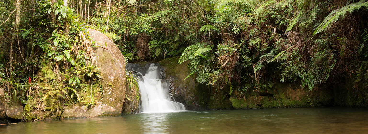 PETAR - Parque Estatal Turístico Alto Ribeira