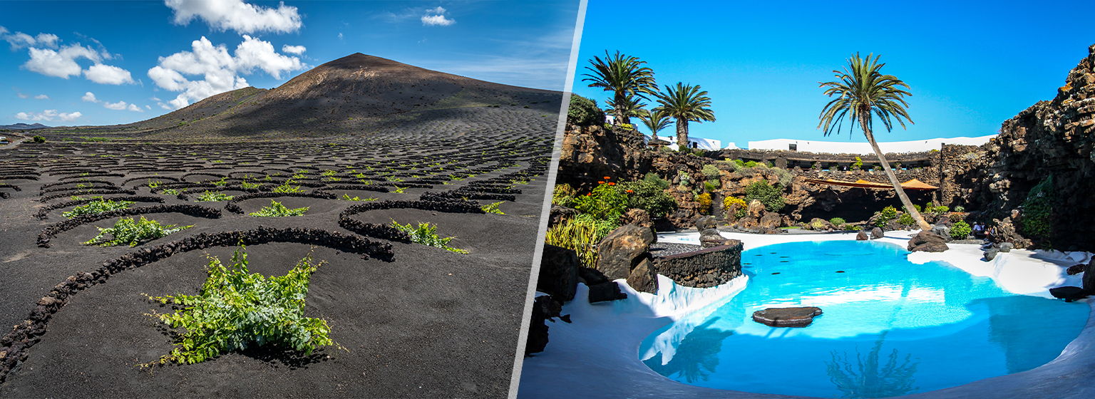 Viñedos de La Geria / Jameos del Agua