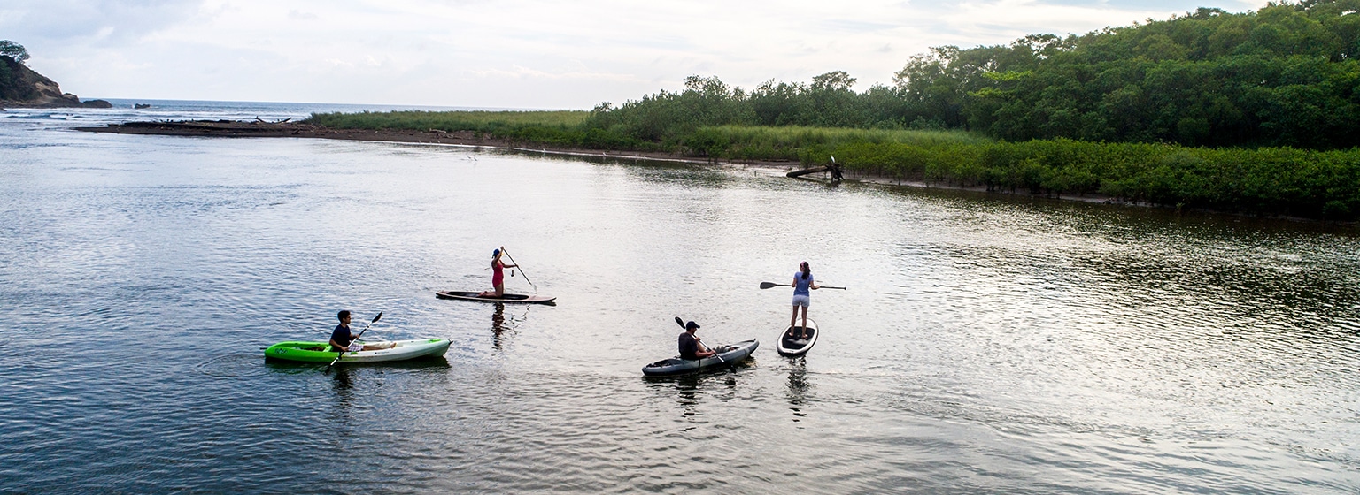 Paddle surf