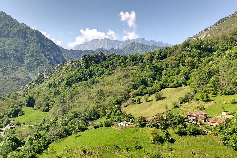 Parque Natural de Ponga