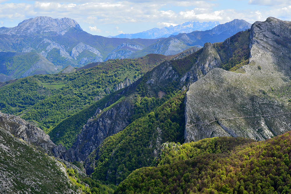 Parque Natural de Redes
