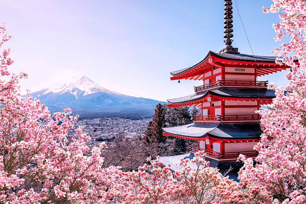 Cerezos en flor en marzo en Japón con el monte Fuji de fondo.