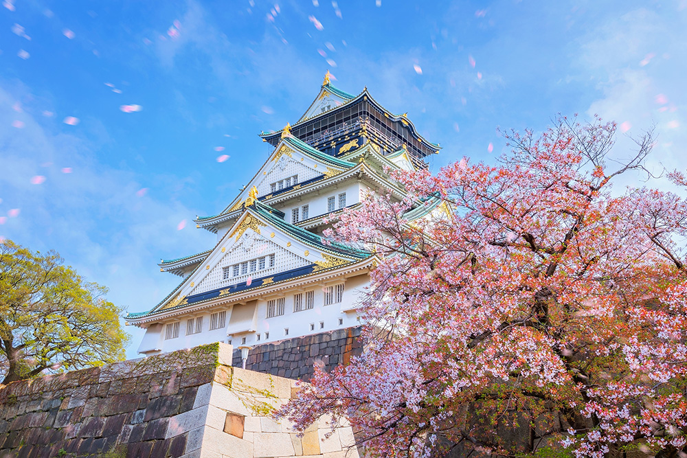 Japón en primavera. Hanami, es la tradición de observar los cerezos en flor