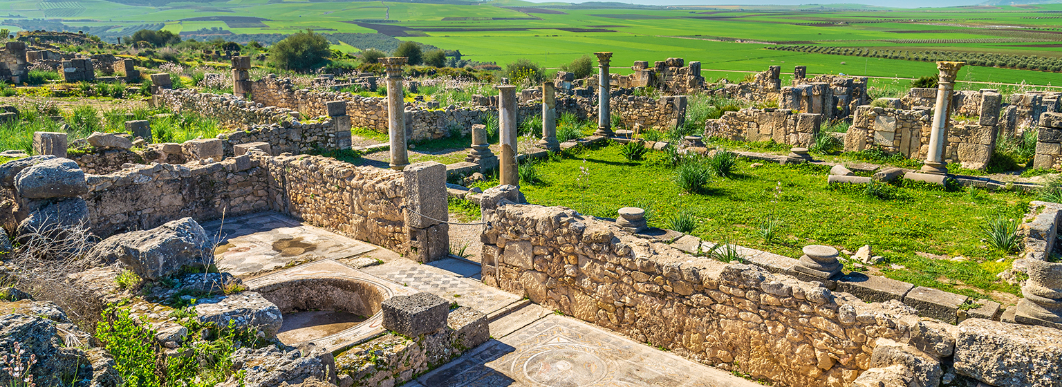Ruinas de Volubilis
