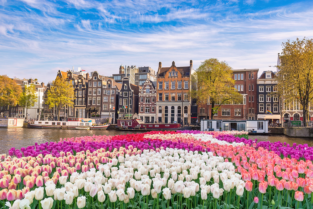 Los mejores viajes de primavera 2025: escapadas florales y culturales