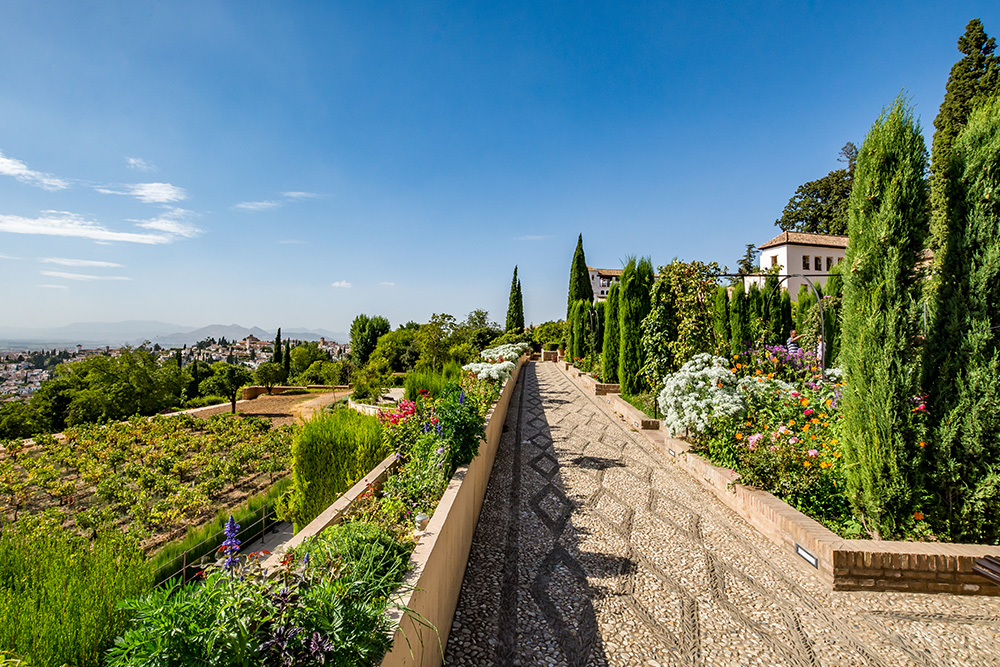Camino de baldosas de piedra para recorrer los jardines de la Alhambra. A ambos lados del camino se pueden ver arbustos con sus diversas flores de color.