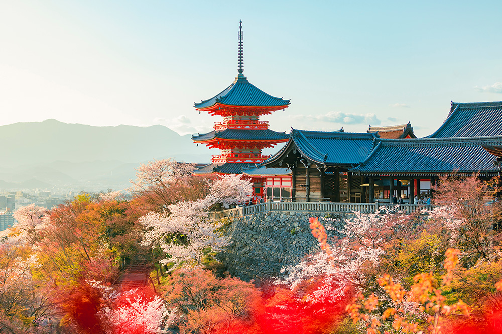 Templo Kiyomizu-dera rodeado de arboles en flor, blancas, naranjas y rojas. De fondo las montañas