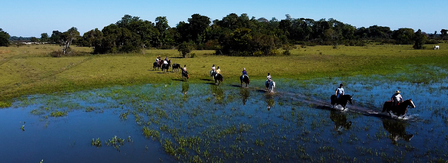 Pantanal a caballo