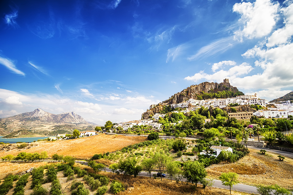 Llanuras de la sierra de Grazalema. Extensos valles de tierra y arboles con un cielo de fondo azul surcado de nubes blancas