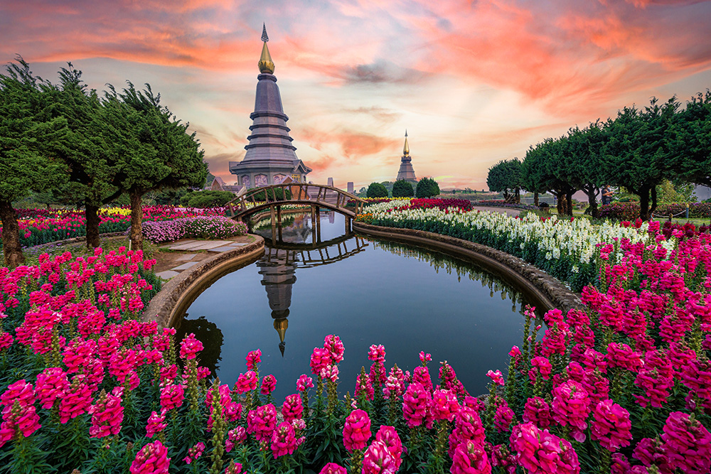 Frondoso jardín de flores rosas y blancas junto a un lago. Un pequeño puente cruza el lago. Al fondo un templo resaltado por el cielo anaranjado.