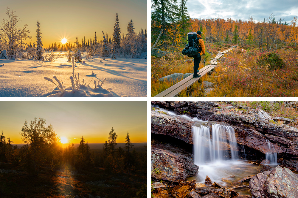 Collage de los parques. Arriba derecha atardecer en un parque nevado.Izquierda arriba un hombre haciendo senderismo por un bosque en tonos naranjas. Abajo derecha un bosque bajo un atardecer. Abajo izquierda una cascada