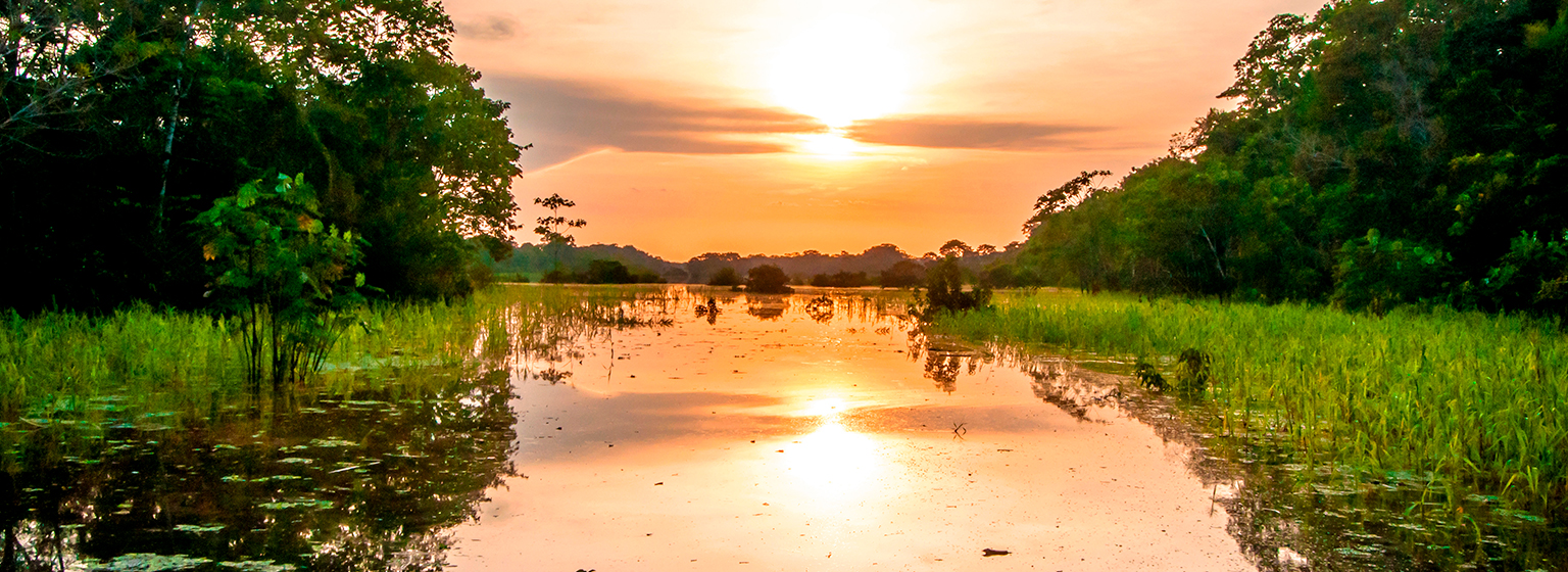 Amazonas