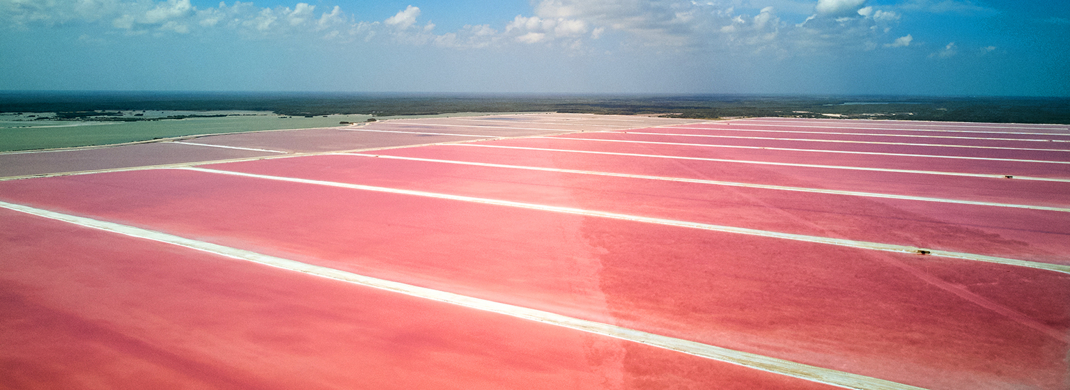 Las Coloradas