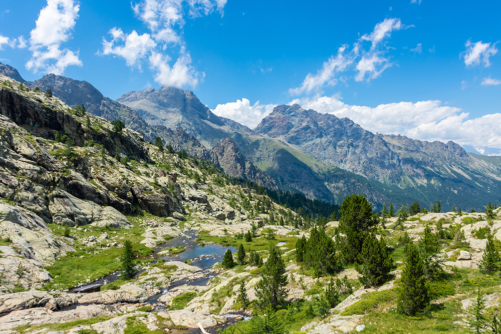Pequeño valle de piedras y verde musgo y arboles. Al fondo montañas bajo un cielo azul con nubes blancas