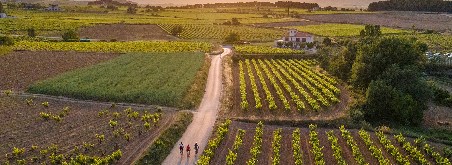 Penedès