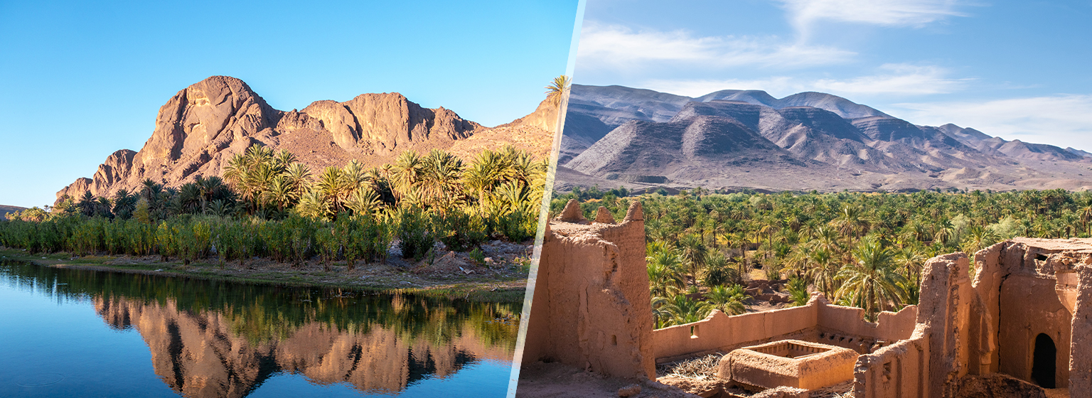 Oasis de Fint / Valle del Draa