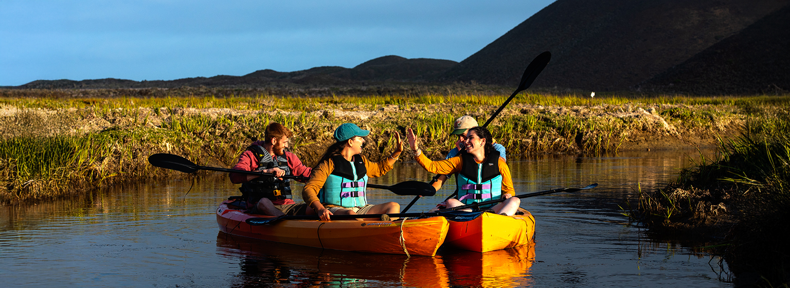 Humedales de San Quintín