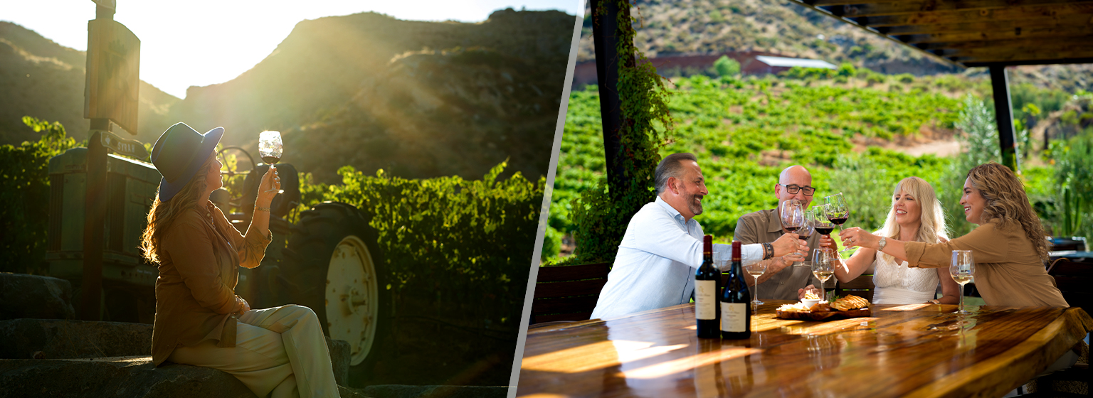 Experiencia vinícola en el Valle de Guadalupe