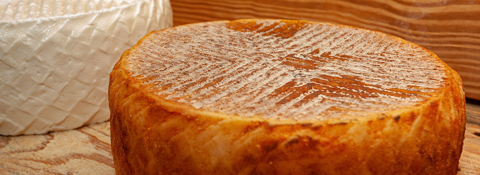 Queso majorero